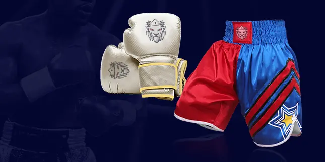 boxing-mma-478603-1731391604